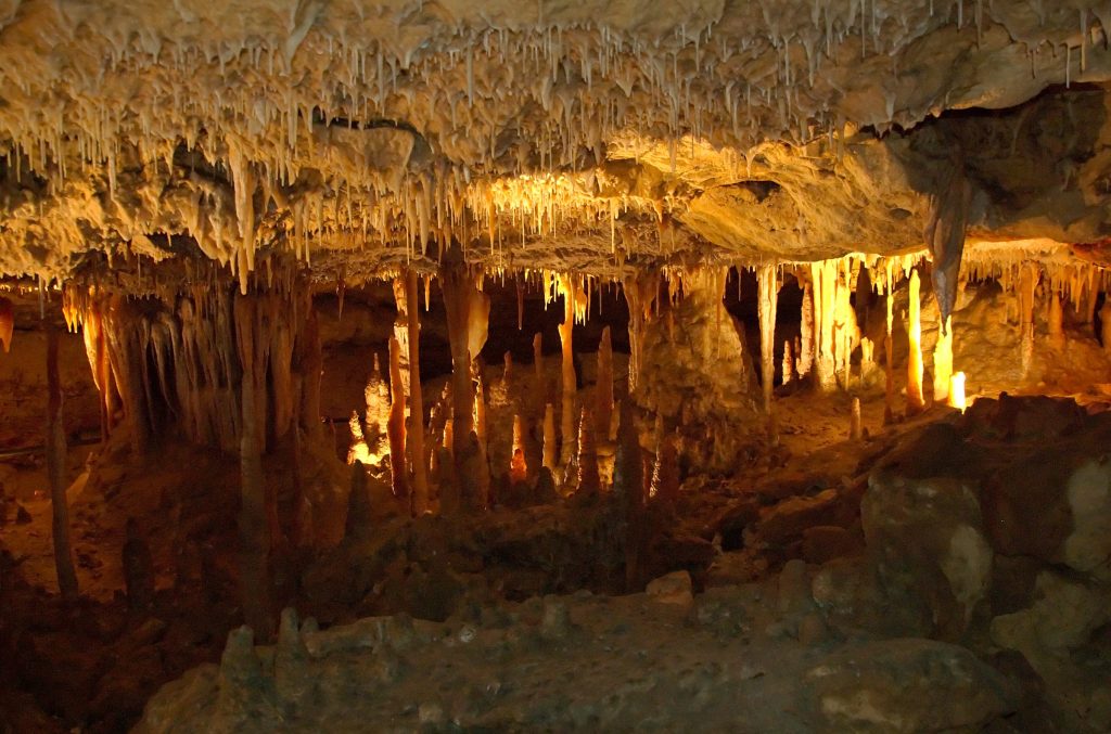 naracoorte caves national park
